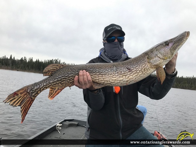 43.5"  by Nick Tasios - Wisconsin