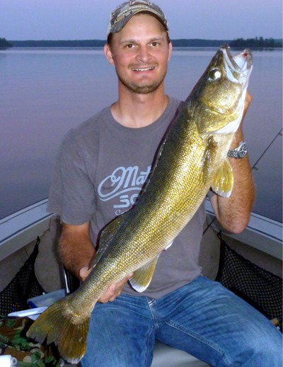 32.5" walleye